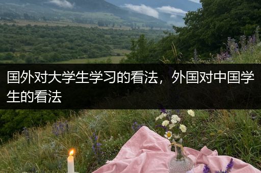 国外对大学生学习的看法，外国对中国学生的看法