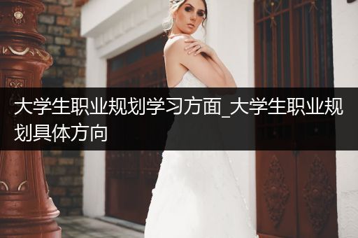 大学生职业规划学习方面_大学生职业规划具体方向