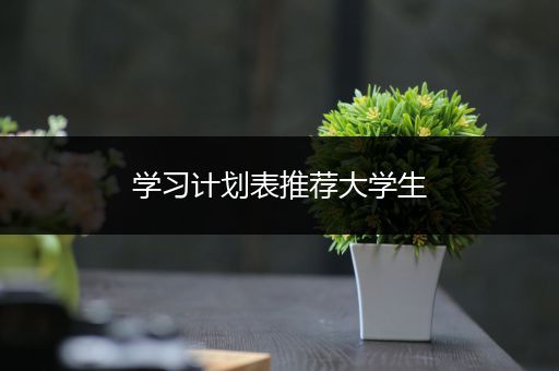 学习计划表推荐大学生