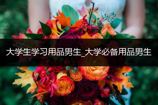 大学生学习用品男生_大学必备用品男生