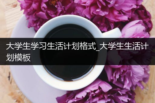 大学生学习生活计划格式_大学生生活计划模板