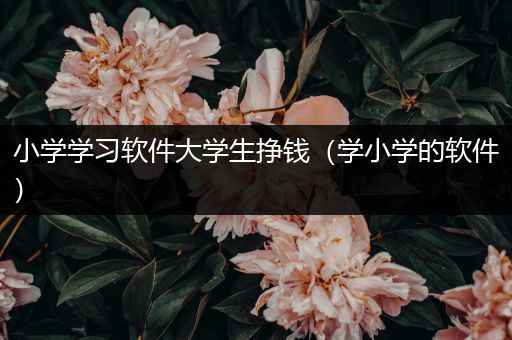 小学学习软件大学生挣钱（学小学的软件）