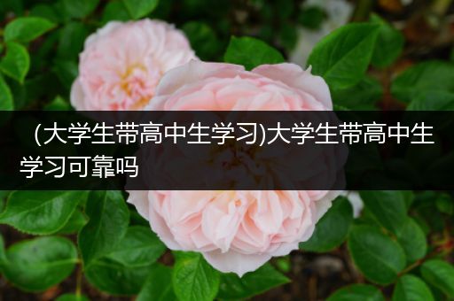 （大学生带高中生学习)大学生带高中生学习可靠吗