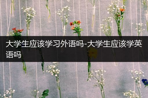 大学生应该学习外语吗-大学生应该学英语吗