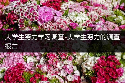 大学生努力学习调查-大学生努力的调查报告