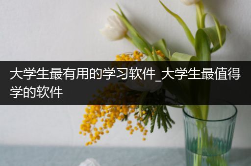大学生最有用的学习软件_大学生最值得学的软件
