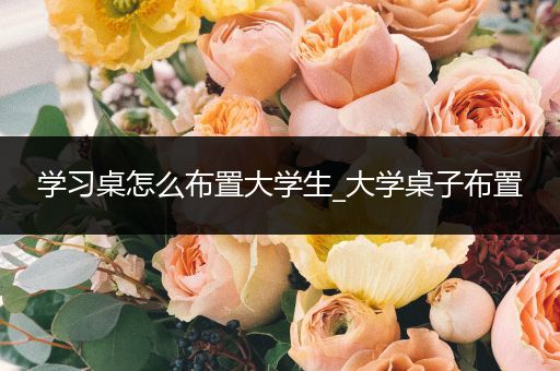 学习桌怎么布置大学生_大学桌子布置
