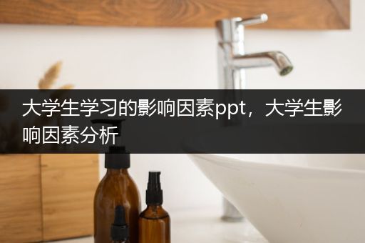 大学生学习的影响因素ppt，大学生影响因素分析