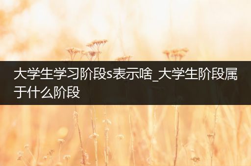 大学生学习阶段s表示啥_大学生阶段属于什么阶段