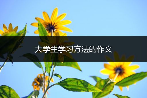 大学生学习方法的作文