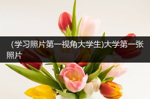 （学习照片第一视角大学生)大学第一张照片