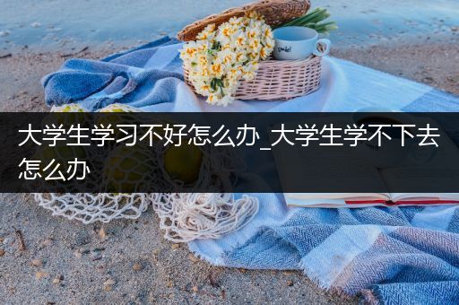 大学生学习不好怎么办_大学生学不下去怎么办