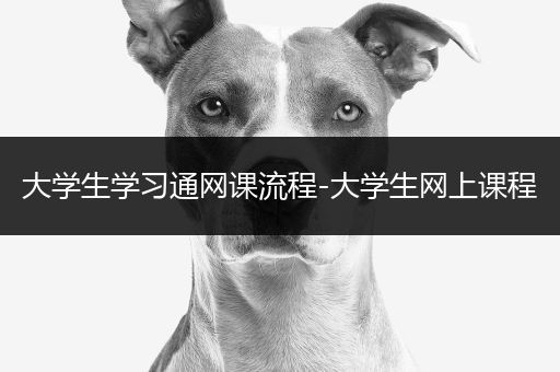 大学生学习通网课流程-大学生网上课程