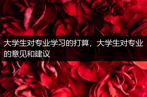 大学生对专业学习的打算，大学生对专业的意见和建议