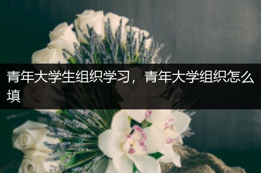 青年大学生组织学习，青年大学组织怎么填