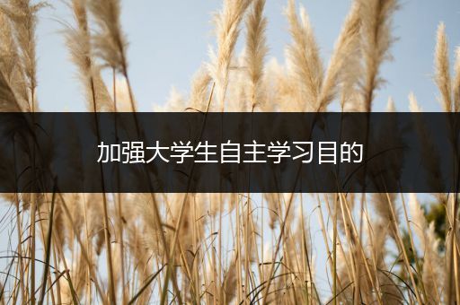加强大学生自主学习目的