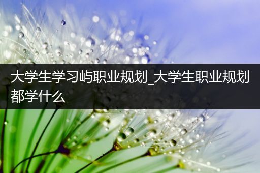 大学生学习屿职业规划_大学生职业规划都学什么