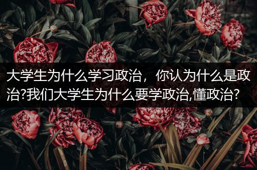 大学生为什么学习政治，你认为什么是政治?我们大学生为什么要学政治,懂政治?