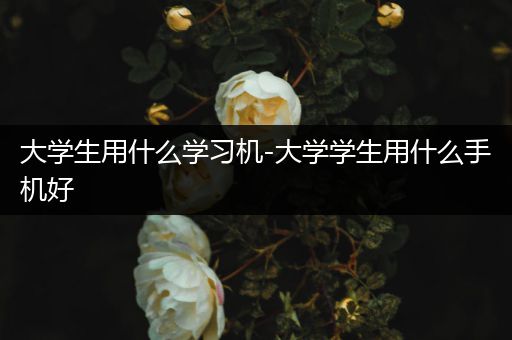 大学生用什么学习机-大学学生用什么手机好