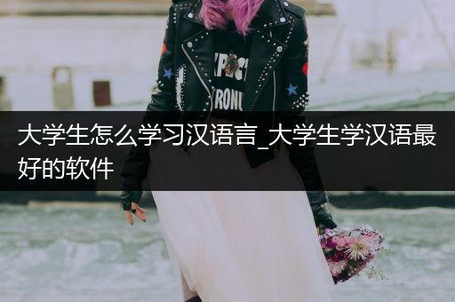 大学生怎么学习汉语言_大学生学汉语最好的软件