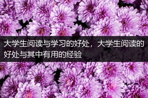大学生阅读与学习的好处，大学生阅读的好处与其中有用的经验