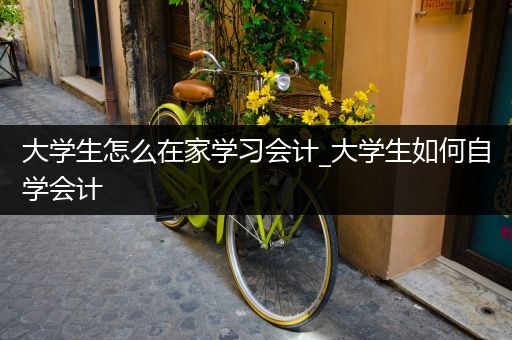 大学生怎么在家学习会计_大学生如何自学会计