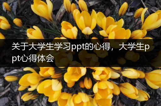关于大学生学习ppt的心得，大学生ppt心得体会