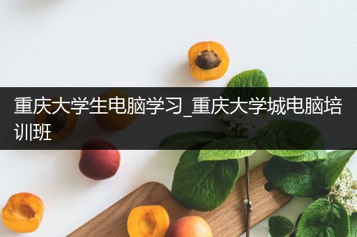 重庆大学生电脑学习_重庆大学城电脑培训班