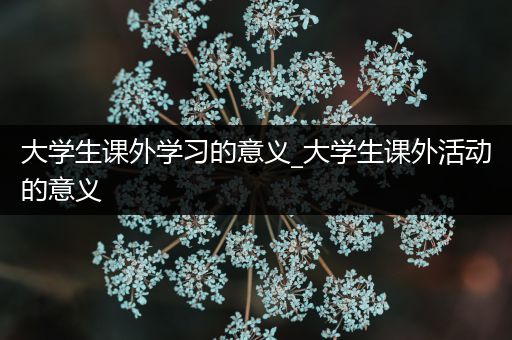 大学生课外学习的意义_大学生课外活动的意义
