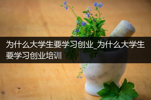 为什么大学生要学习创业_为什么大学生要学习创业培训