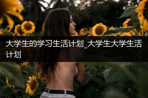 大学生的学习生活计划_大学生大学生活计划