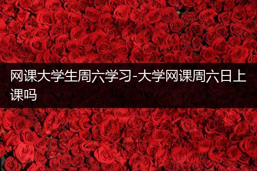 网课大学生周六学习-大学网课周六日上课吗