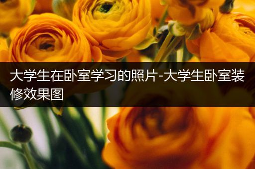 大学生在卧室学习的照片-大学生卧室装修效果图