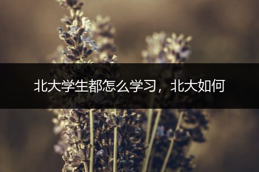 北大学生都怎么学习，北大如何