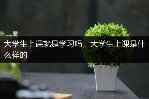 大学生上课就是学习吗，大学生上课是什么样的