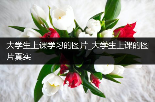 大学生上课学习的图片_大学生上课的图片真实