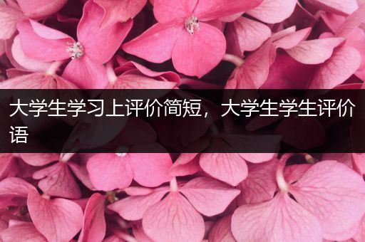 大学生学习上评价简短，大学生学生评价语