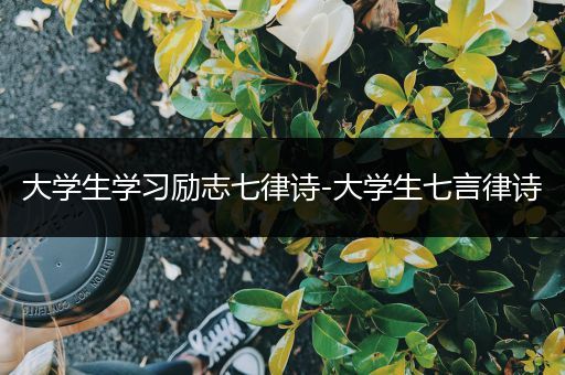 大学生学习励志七律诗-大学生七言律诗