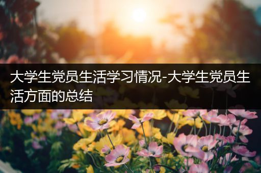 大学生党员生活学习情况-大学生党员生活方面的总结