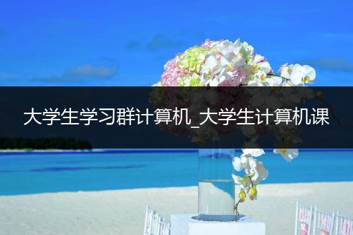 大学生学习群计算机_大学生计算机课