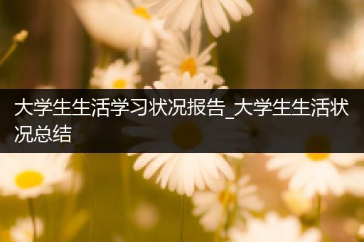 大学生生活学习状况报告_大学生生活状况总结
