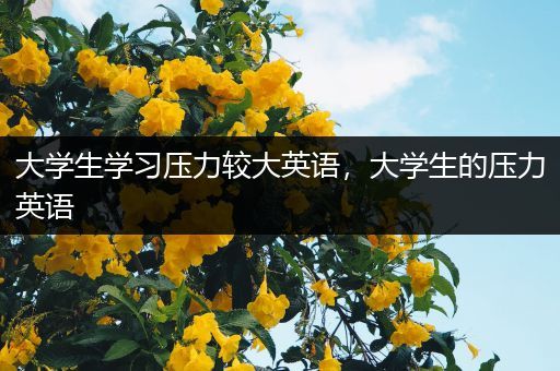 大学生学习压力较大英语，大学生的压力英语