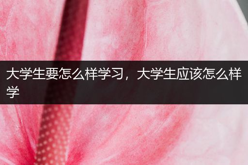 大学生要怎么样学习，大学生应该怎么样学
