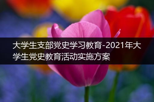 大学生支部党史学习教育-2021年大学生党史教育活动实施方案