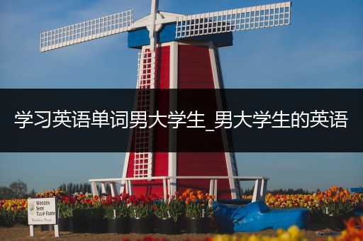 学习英语单词男大学生_男大学生的英语