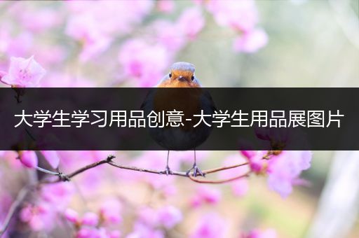 大学生学习用品创意-大学生用品展图片