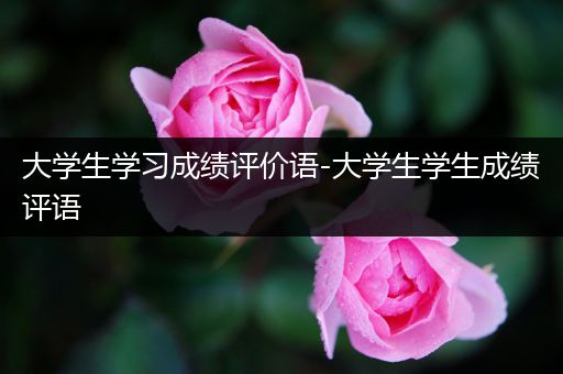 大学生学习成绩评价语-大学生学生成绩评语