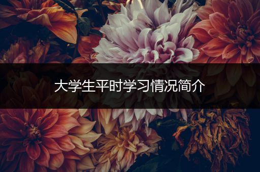 大学生平时学习情况简介
