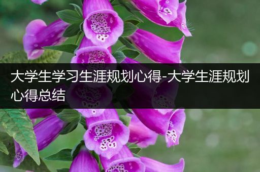 大学生学习生涯规划心得-大学生涯规划心得总结