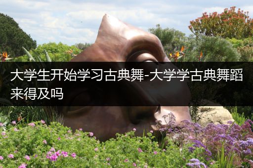 大学生开始学习古典舞-大学学古典舞蹈来得及吗